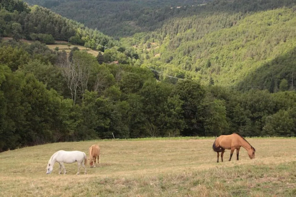 Les Tourettes Villa Desaignes